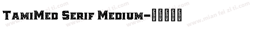 TamiMed Serif Medium字体转换
